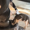 무유인(MUIN) 이미지