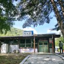 진남역 앞 이미지