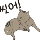 고양이마법사 이미지