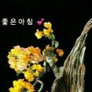 1072 이미지
