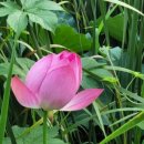 세운약국 이미지