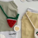 네모강아지 이미지