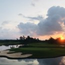 루비트리 이미지