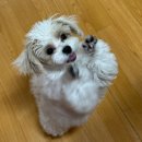 견식파티 이미지