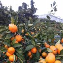 가정3-01-019 이미지