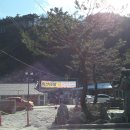 미선이네 Daum카페