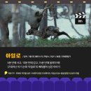 순천 애니멀 필름 페스타 이미지