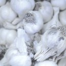 닥터황치과의원 이미지