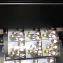 와플대학용인역북캠퍼스 이미지