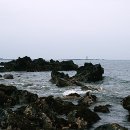 파도향기 이미지