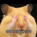 한 것도 없이 6월 (1)