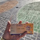 우영3급(주) | 전남 함평 국화대전 축제 애견동반 솔직후기