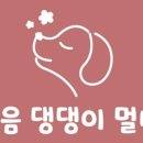 향내음 댕댕이 멀티샵 이미지
