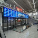 G5335 이미지