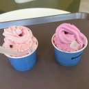 소걸음 펜션 이미지