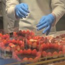 계룡로571번길 | 대전 롯데백화점 성심당 근처 맛집 탄방동 촌길낙지 낙지볶음 청국장 후기