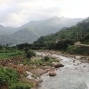 돌배나무집민박 이미지