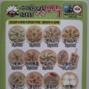 우리동네5분만두완주봉동점
