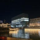 원광대학교 | 익산 벚꽃 명소 원광대학교 수덕호 야경 예쁘다