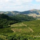 대인농장 이미지