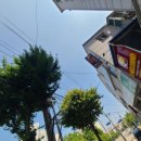 경기도 수원시 영통구 권선로 818 이미지