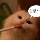 제니카페 이미지