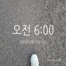 미라클태권도장 이미지