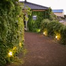 제주안뜰 이미지