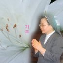 안젤라