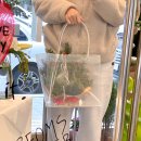 범스플라워샵 | 천안 꽃집 두정동 범스플라워샵 크리스마스 트리 생화 후기
