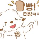 꼬똥켄넬 이미지