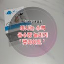 (유)보미 | [보미의 일상] 강아지 마시는 수액 산책 후 먹이기 좋은 근거기반 반려동물 이온음료 ‘펫라이트’ 후기
