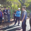 행주초등학교 이미지