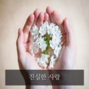 그대와 나의 진정[眞正]한 사랑 이미지