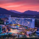 스플라스리솜 이미지