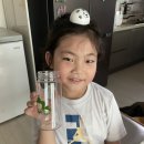 더블유복싱