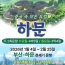 유유투어여행사