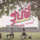 허니퍼피 이미지