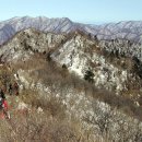 강동-천호-1146 이미지