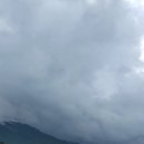 보물찾기공인중개사사무소 이미지