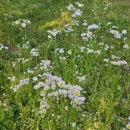 고척근린공원 이미지