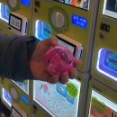 벨약국 | 용산 신관 _ 800평 대형약국 메디킹덤약국 솔직후기