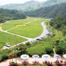 인삼랜드(상)휴게소 이미지