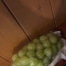 흥마농장 네이버블로그