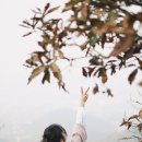 펑미인 이미지
