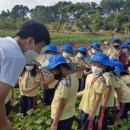모전초등학교병설유치원 이미지