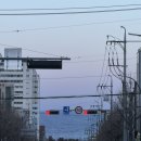 족발상회 | 동해 맛집 추천 l 족발상회 솔직 후기 l 동해 천곡동 회식 추천