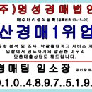 사남초정문 이미지