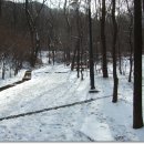 구룡산정상 이미지