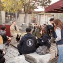 8코기네 이미지